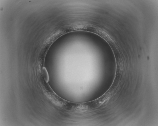 X0000078840546200611201316