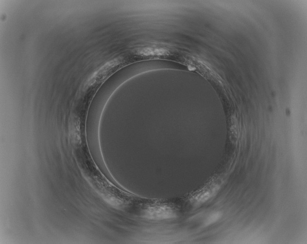 X0000078840547200611201316