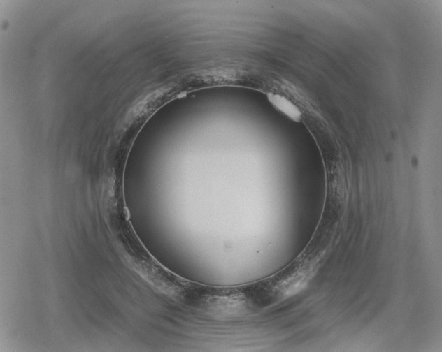 X0000078840548200611201316