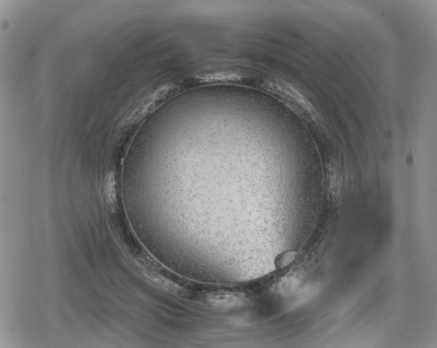 X0000078840549200611201316