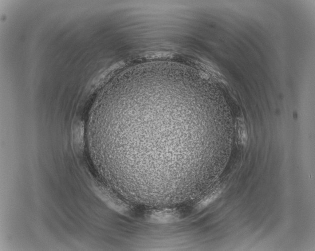 X0000078840550200611201316