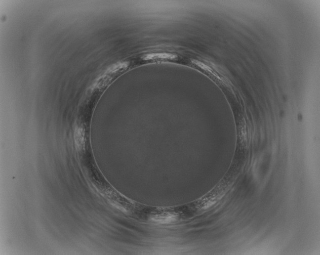 X0000078840551200611201316