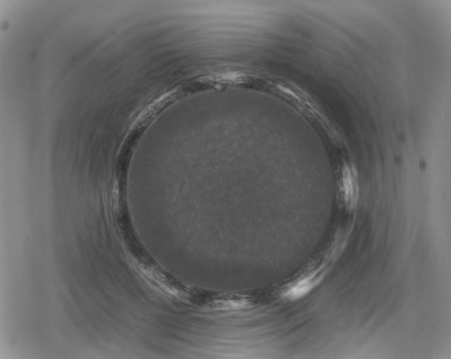 X0000078840552200611201316