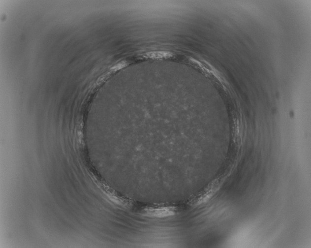 X0000078840553200611201316