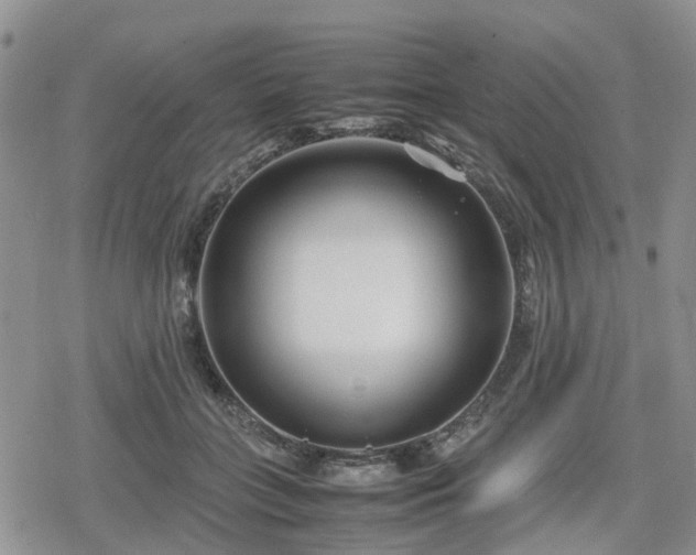 X0000078840555200611201316