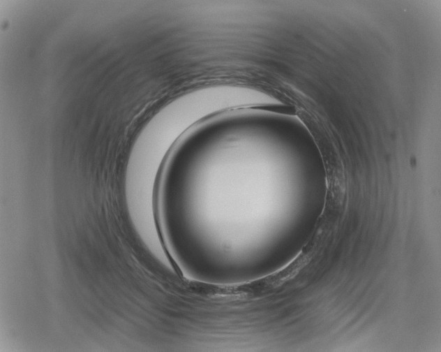 X0000078840556200611201316