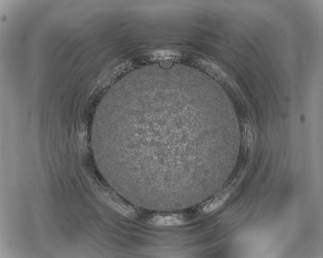 X0000078840557200611201316