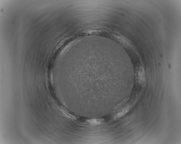 X0000078840558200611201316