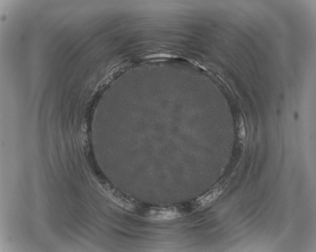 X0000078840559200611201316