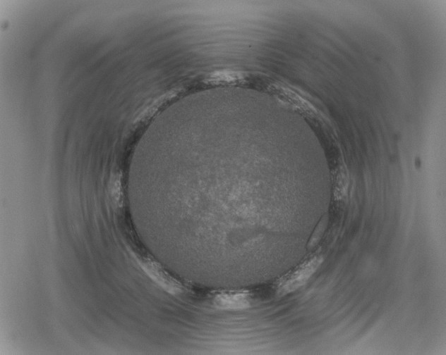 X0000078840560200611201316