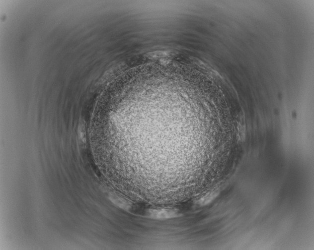 X0000078840561200611201316