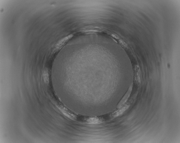 X0000078840562200611201316