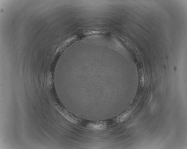 X0000078840563200611201316