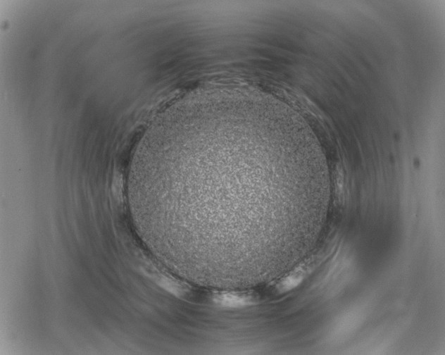 X0000078840565200611201316