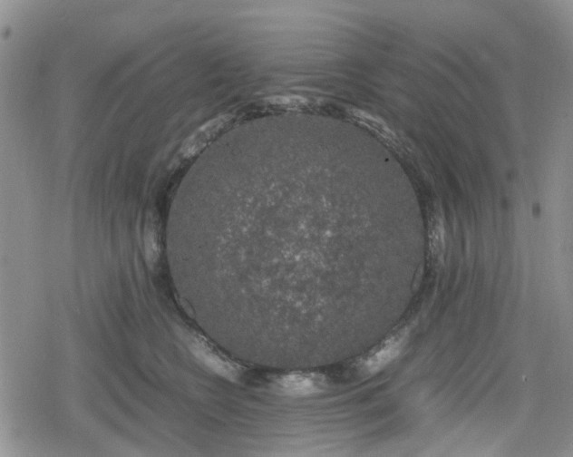 X0000078840566200611201316