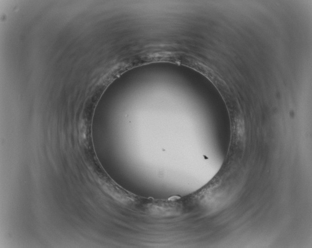 X0000078840567200611201316