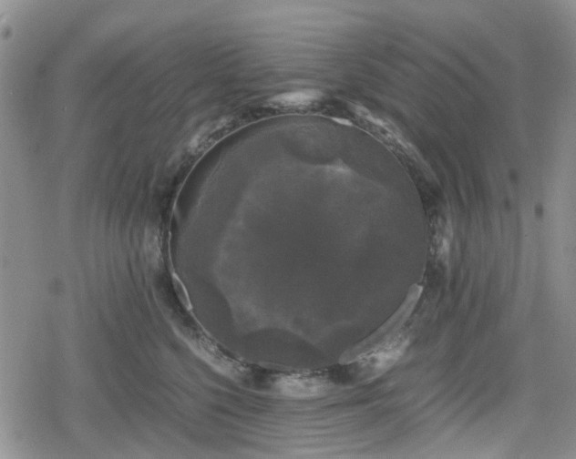 X0000078840568200611201316