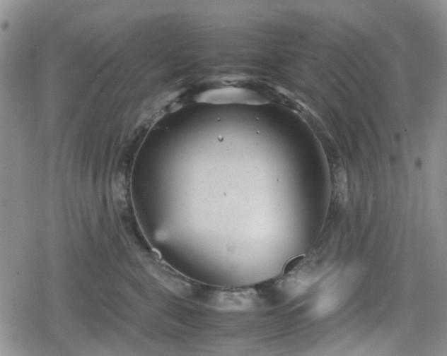 X0000078840571200611201316