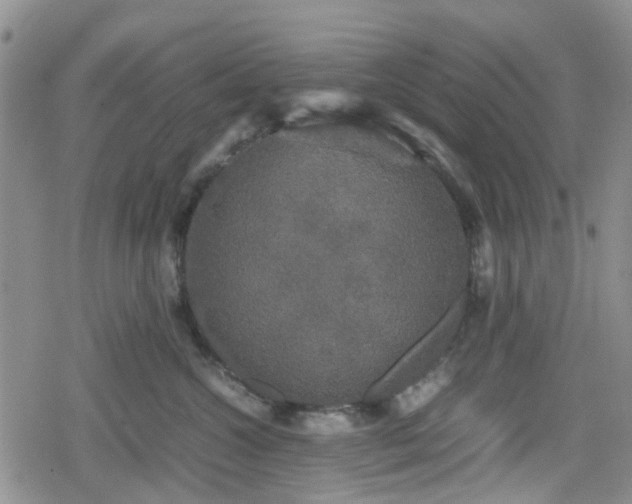 X0000078840572200611201316