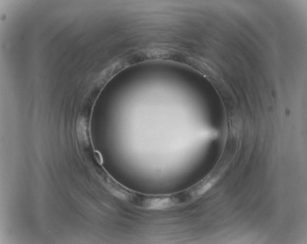 X0000078840575200611201316