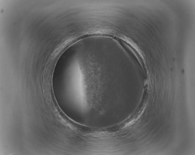 X0000078840577200611201315