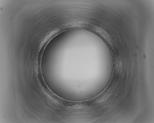 X0000078840578200611201315