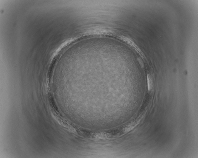 X0000078840579200611201315