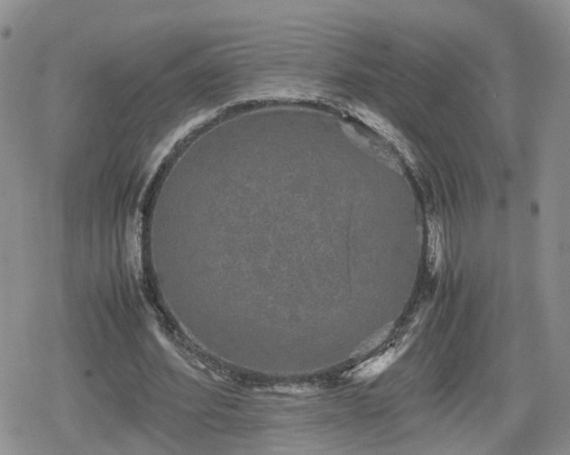 X0000078840580200611201315