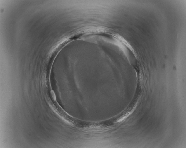 X0000078840581200611201315