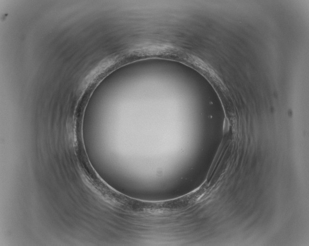 X0000078840582200611201315