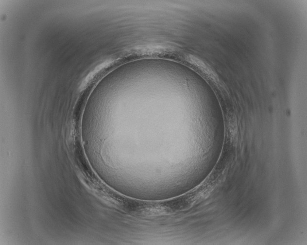 X0000078840583200611201315