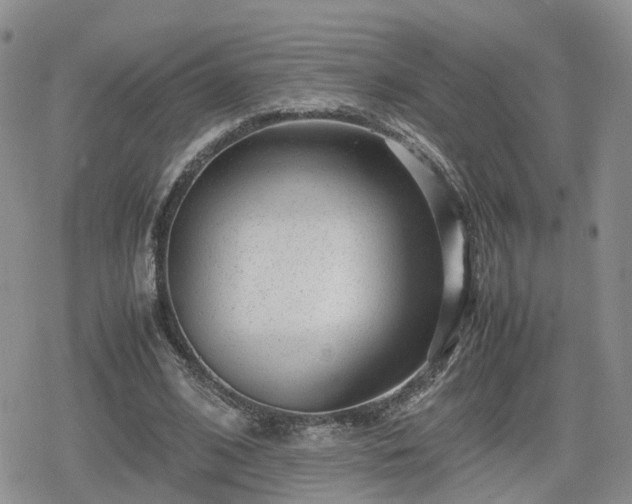 X0000078840584200611201315