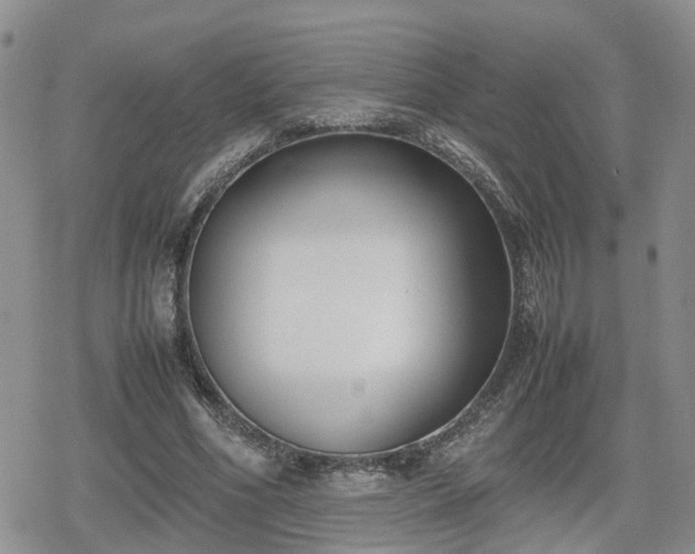 X0000078840586200611201315