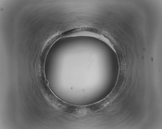 X0000078840587200611201315