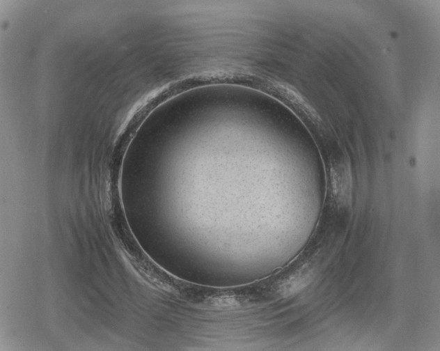 X0000078840588200611201315