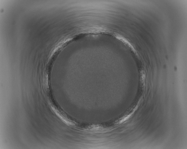 X0000078840589200611201315