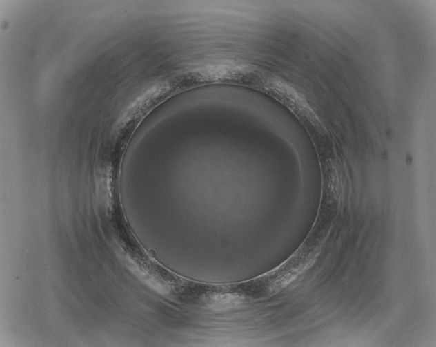 X0000078840590200611201315