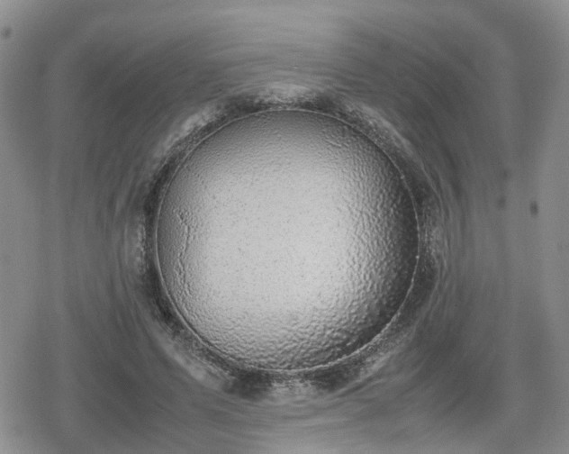 X0000078840591200611201315