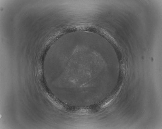 X0000078840593200611201315