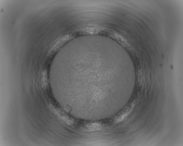 X0000078840594200611201315