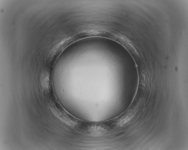 X0000078840596200611201315