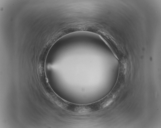 X0000078840597200611201315