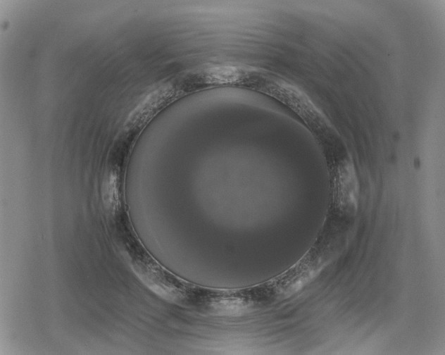 X0000078840598200611201315