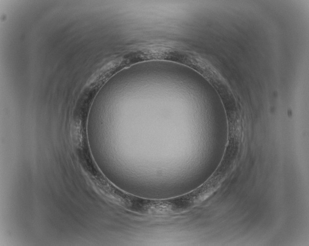 X0000078840599200611201315