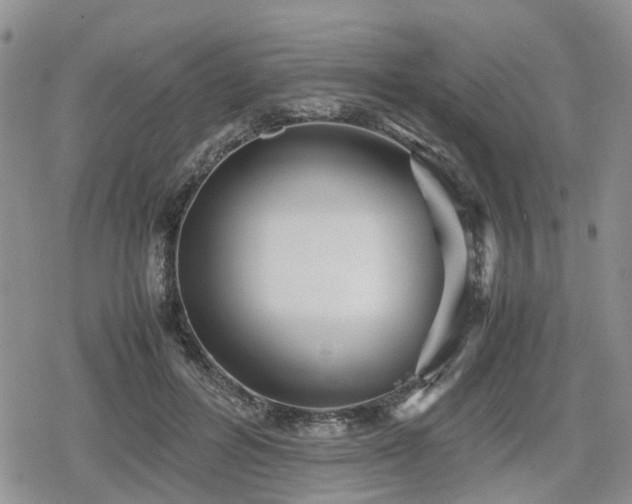 X0000078840600200611201315