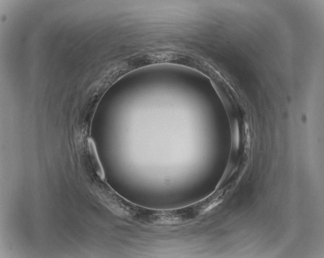 X0000078840601200611201315