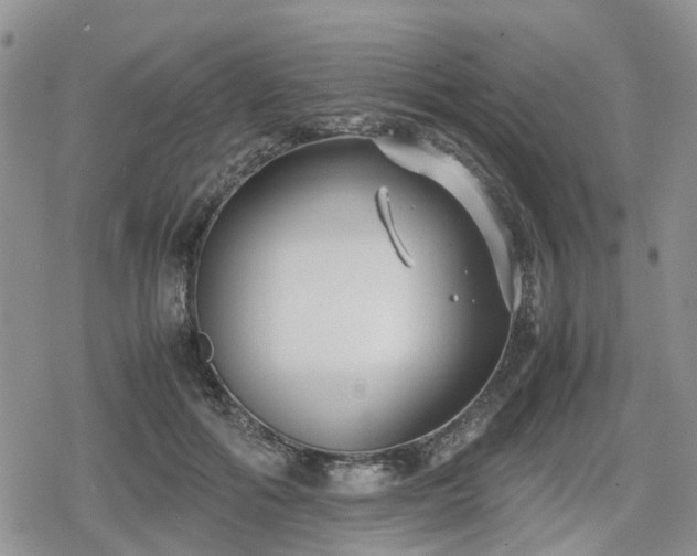 X0000078840602200611201315