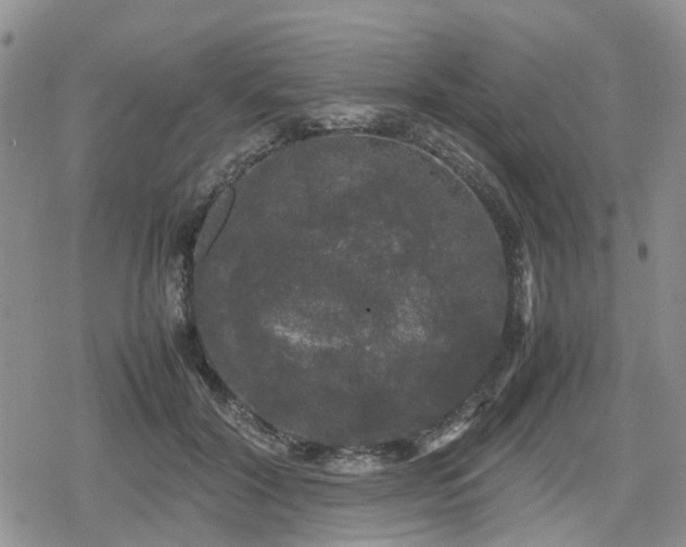 X0000078840604200611201315