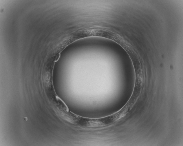 X0000078840605200611201315