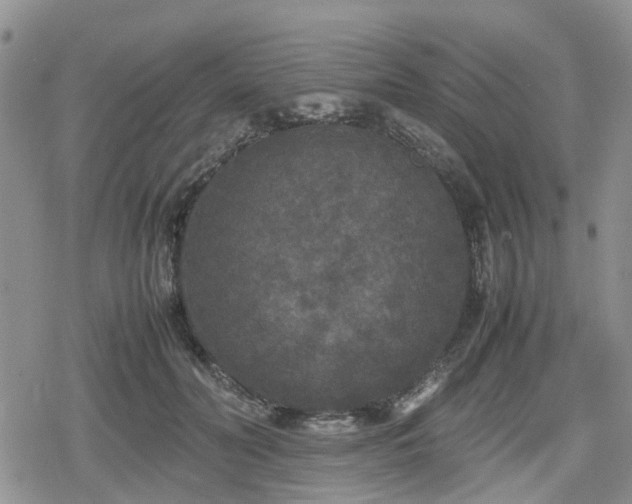 X0000078840606200611201315